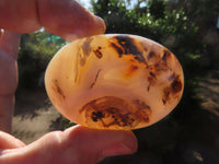 Polished Banded, Dendritic, Orange Agate Gallets / Palm Stones - sold per Kg - From Madagascar - TopRock