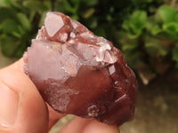 Natural Red Hematoid Quartz Specimens x 35 From Karoi, Zimbabwe - TopRock