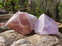 Natural Single Jacaranda Amethyst Crystals  x 12 From Zambia - Toprock Gemstones and Minerals 