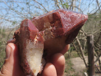 Natural Red Hematoid Phantom Quartz Clusters  x 6 From Karoi, Zimbabwe - TopRock