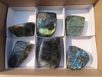 Polished Labradorite Standing Free Forms  x 6 From Tulear, Madagascar