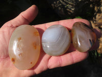 Polished Banded, Dendritic, Orange Agate Gallets / Palm Stones - sold per Kg - From Madagascar - TopRock