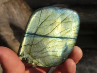 Polished Labradorite Standing Free Forms  x 6 From Tulear, Madagascar