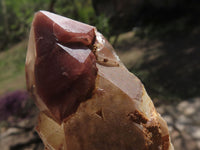 Natural Red Hematoid Phantom Quartz Clusters  x 6 From Karoi, Zimbabwe - TopRock