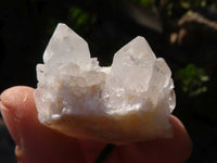 Natural Small Mixed Spirit Quartz Specimens  x 35 From Boekenhouthoek, South Africa - Toprock Gemstones and Minerals 