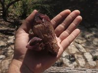 Natural Red Hematoid Phantom Quartz Clusters  x 6 From Karoi, Zimbabwe - TopRock