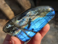 Polished Labradorite Standing Free Forms  x 6 From Tulear, Madagascar