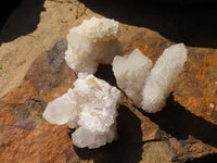 Natural Small Mixed Spirit Quartz Specimens  x 35 From Boekenhouthoek, South Africa - Toprock Gemstones and Minerals 