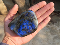 Polished Labradorite Standing Free Forms  x 6 From Tulear, Madagascar