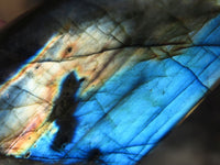 Polished Labradorite Standing Free Forms  x 6 From Tulear, Madagascar