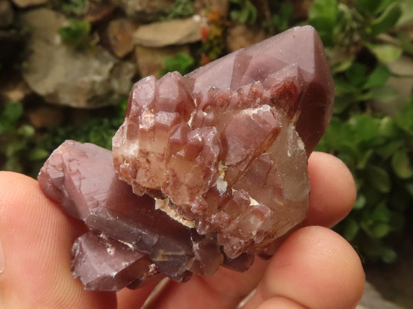 Natural Red Hematoid Quartz Specimens x 35 From Karoi, Zimbabwe - TopRock