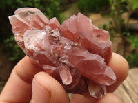 Natural Red Hematoid Quartz Specimens x 35 From Karoi, Zimbabwe - TopRock