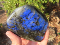 Polished Labradorite Standing Free Forms  x 6 From Tulear, Madagascar