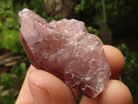 Natural Red Hematoid Quartz Specimens x 35 From Karoi, Zimbabwe - TopRock