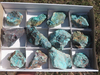 Natural Rough Blue Shattuckite Specimens  x 12 From Namibia - TopRock