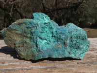 Natural Rough Blue Shattuckite Specimens  x 12 From Namibia - TopRock