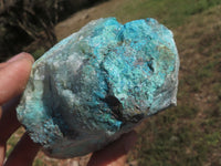 Natural Rough Blue Shattuckite Specimens  x 12 From Namibia - TopRock