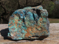 Natural Rough Blue Shattuckite Specimens  x 12 From Namibia - TopRock