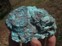 Natural Rough Blue Shattuckite Specimens  x 12 From Namibia - TopRock