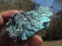 Natural Rough Blue Shattuckite Specimens  x 12 From Namibia - TopRock