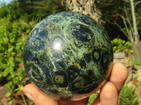 Polished Stromatolite / Kambamba Jasper Spheres  x 2 From Madagascar - Toprock Gemstones and Minerals 