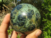 Polished Stromatolite / Kambamba Jasper Spheres  x 2 From Madagascar - Toprock Gemstones and Minerals 