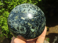 Polished Stromatolite / Kambamba Jasper Spheres  x 2 From Madagascar - Toprock Gemstones and Minerals 