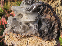 Natural Barite Crystal Specimen x 1 From Tenke Fungurume, Congo - TopRock