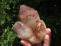 Natural Red Hematoid Quartz Crystals  x 4 From Karoi, Zimbabwe - TopRock