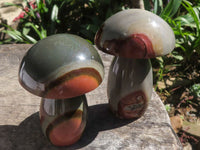 Polished Polychrome / Picasso Jasper Mushrooms  x 6 From Mahajanga, Madagascar - TopRock