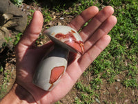 Polished Polychrome / Picasso Jasper Mushrooms  x 6 From Mahajanga, Madagascar - TopRock