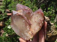 Natural Red Hematoid Quartz Crystals  x 4 From Karoi, Zimbabwe - TopRock