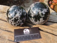 Polished Merlinite Gabbro Spheres  x 2 From Madagascar