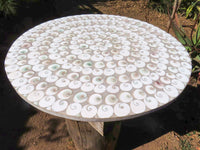 Polished Extra Large Fossil Shell Table Top x 1 From Madagascar