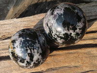 Polished Merlinite Gabbro Spheres  x 2 From Madagascar