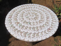 Polished Extra Large Fossil Shell Table Top x 1 From Madagascar