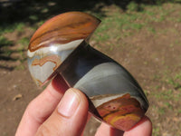 Polished Polychrome / Picasso Jasper Mushrooms  x 6 From Mahajanga, Madagascar - TopRock