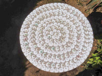 Polished Extra Large Fossil Shell Table Top x 1 From Madagascar