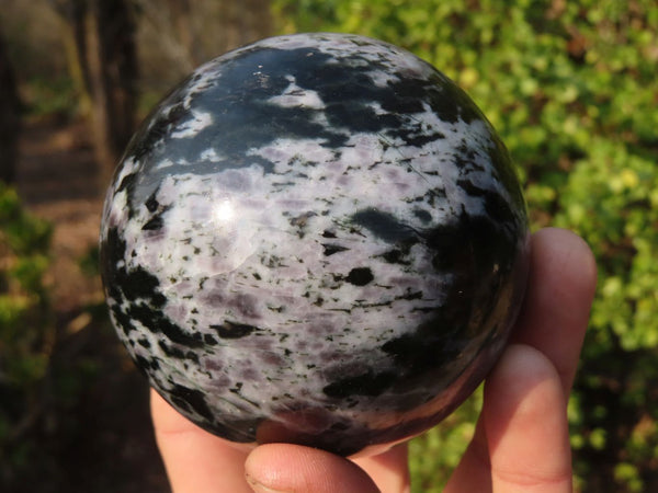 Polished Merlinite Gabbro Spheres  x 2 From Madagascar