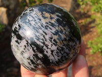 Polished Merlinite Gabbro Spheres  x 2 From Madagascar