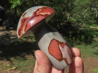 Polished Polychrome / Picasso Jasper Mushrooms  x 6 From Mahajanga, Madagascar - TopRock