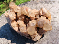 Natural Smokey Phantom Cluster x 1 From Lwena, Congo - TopRock