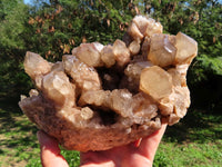 Natural Smokey Phantom Cluster x 1 From Lwena, Congo - TopRock