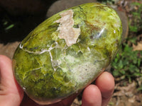 Polished Green Opal Standing Free Forms  x 5 From Antsirabe, Madagascar - TopRock