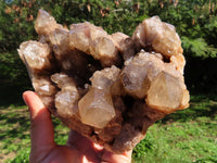 Natural Smokey Phantom Cluster x 1 From Lwena, Congo - TopRock