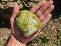 Polished Green Opal Standing Free Forms  x 5 From Antsirabe, Madagascar - TopRock