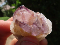 Natural Mixed Spirit Quartz Clusters  x 35 From Boekenhouthoek, South Africa - TopRock