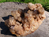 Natural Smokey Phantom Cluster x 1 From Lwena, Congo - TopRock