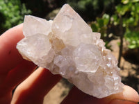 Natural Mixed Spirit Quartz Clusters  x 35 From Boekenhouthoek, South Africa - TopRock