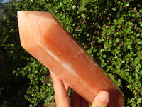 Polished Large Orange Twist Calcite Point  x 1 From Madagascar - Toprock Gemstones and Minerals 